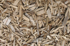 biomass boilers Heavitree
